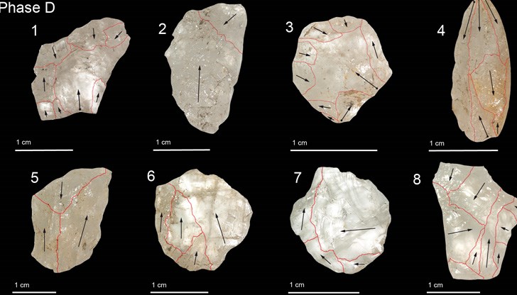 Учените смятат, че са разкрили „горния палеолит на джунглата”
