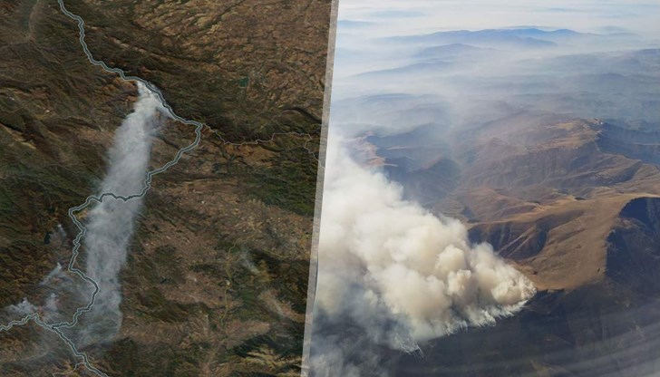 Огънят се разпростира по билото на планината, по което минава границата със Сърбия Огънят се разпростира по билото на планината, по което минава границата със Сърбия