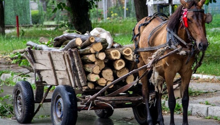 Ветовските полицаи са заловили двама мъже, извозвали незаконно дървен материал