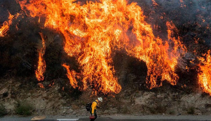 Пожарите в Южна Калифорния причиниха смъртта на двама души