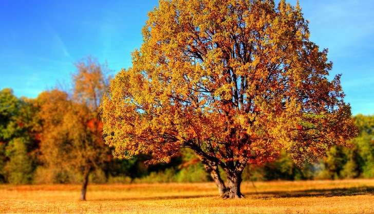Тазгодишният септември е най-горещият в света, откакто европейската служба "Коперник" за климатичните промени е започнала наблюденията си през 1981 г. Тазгодишният септември е най-горещият в света, откакто европейската служба "Коперник" за климатичните промени е започнала наблюденията си през 1981 г.