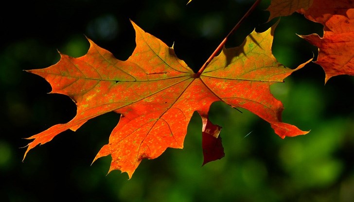 Лято в средата на октомври Лято в средата на октомври