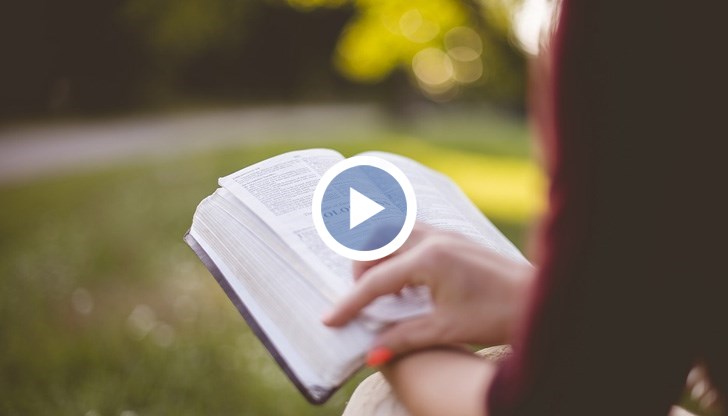 15% от завършващите тази година български ученици избират чужд университет