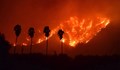 Потушиха най-големия за тази година пожар в Калифорния