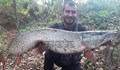 Рибар улови 13-килограмова щука в река Янтра