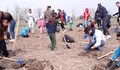 Над 200 доброволци садиха фиданки за нова гора край Суходол