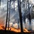 Горски пожари отнеха живота на трима души в Австралия