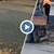 Работници полагат асфалт върху окапали листа