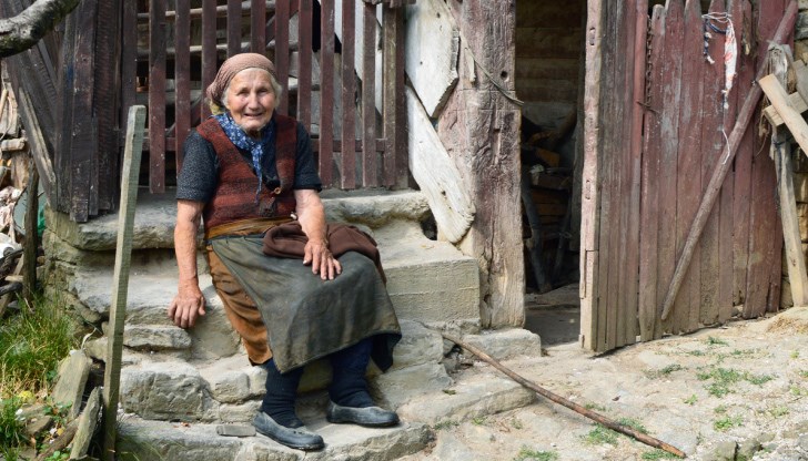 Така възрастните хора щели да почувстват грижа към тях Така възрастните хора щели да почувстват грижа към тях