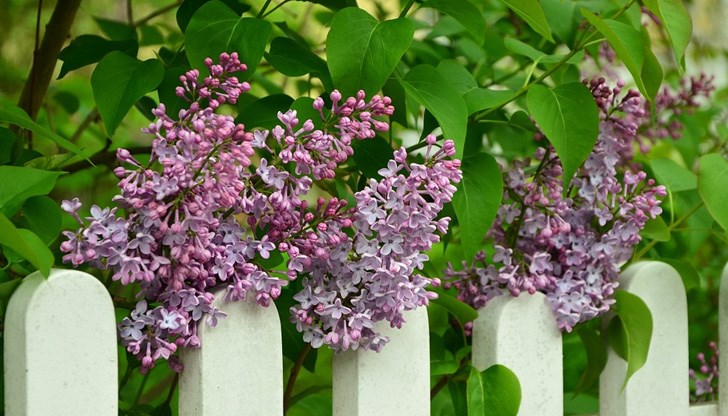 Това вещае много студена зима