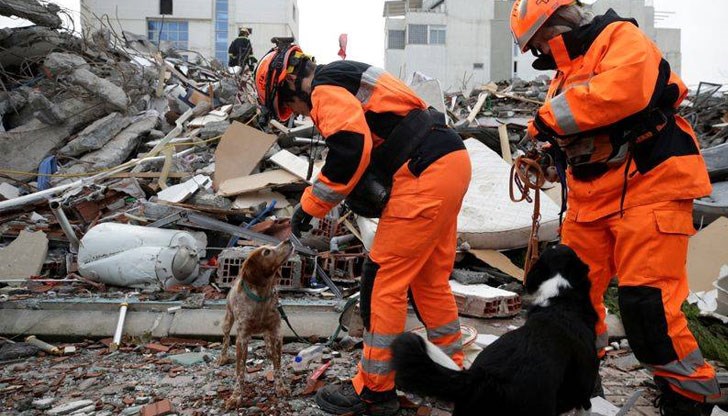 Танда, Гизмо, Ину, Дхарма и Фархана безстрашно изпълняват дълга си