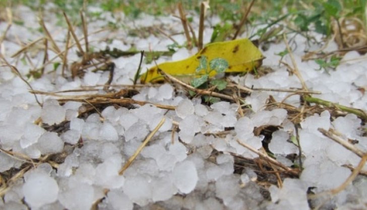 Големината на ледените късове е колкото лешник