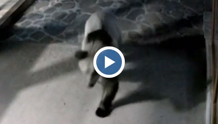 Над 10 000 души се застъпиха за Суими