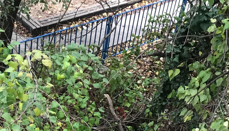 Призив за помощ към господин Пенчо Милков