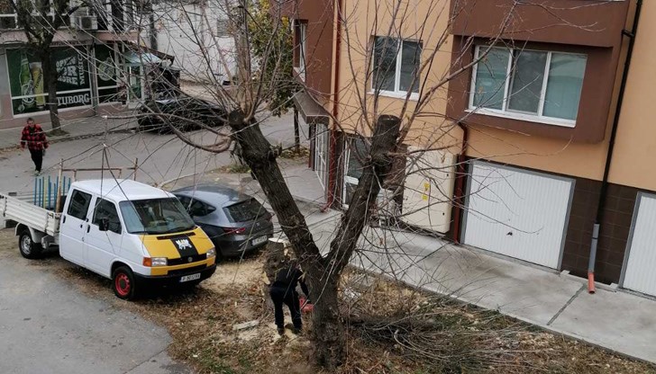 Действието се случва на улица "Муткурова 125"