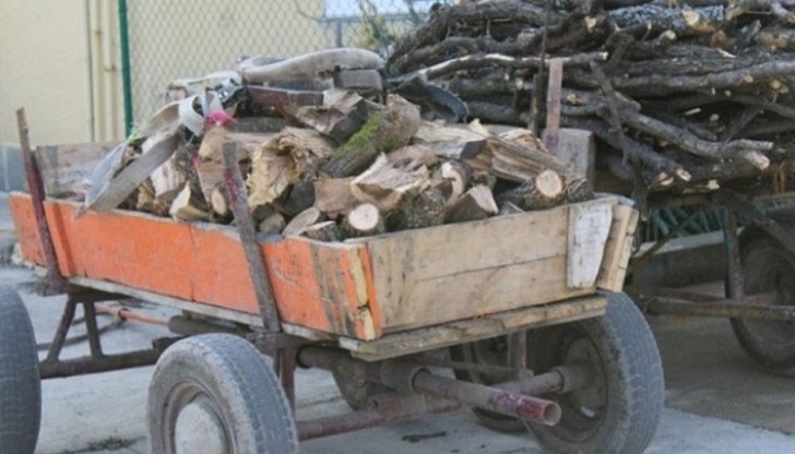 Случаите са документирани от полицията и в РУ – Ветово са заведени преписки за престъплението Случаите са документирани от полицията и в РУ – Ветово са заведени преписки за престъплението