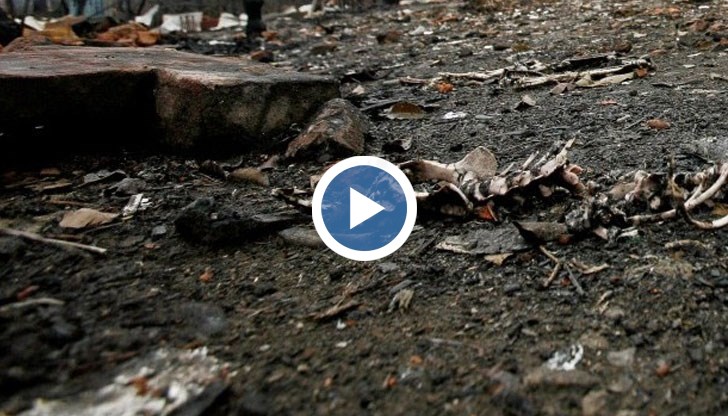 Витали напълни 10 чувала с човешки кости