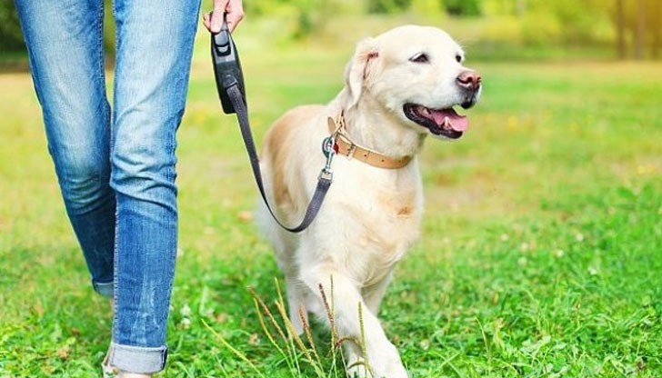 Работното място е луксозно лондонско жилище