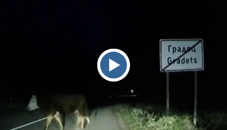 Последствията за мен и семейството ми можеше да са фатални заради ширещата се безотговорност, казва Николай Георгиев