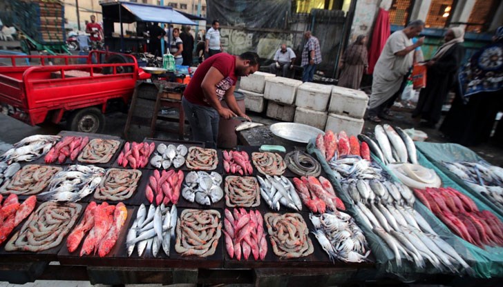 Кулинарна шоу-програма, демонстрационен щанд и още много изненади очакват гостите на изложението Кулинарна шоу-програма, демонстрационен щанд и още много изненади очакват гостите на изложението