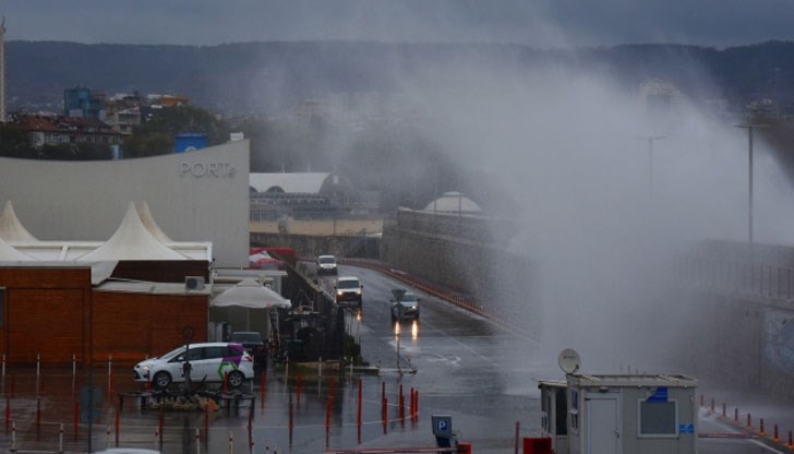Фотограф засне морския танц