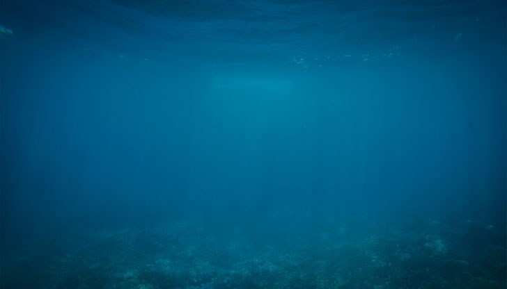 Масивното влечуго принадлежи към типа „плезиозаври“ от юрския период и е първата находка от този вид за полските палеонтолози Масивното влечуго принадлежи към типа „плезиозаври“ от юрския период и е първата находка от този вид за полските палеонтолози