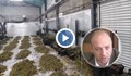 Най-голямата наркооранжерия в Русенско е имала хотелски комплекс