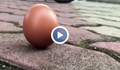 Мит или реалност: Яйце балансира на тясната си страна "с помощта на затъмнението"