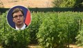 Вучич на съд заради афера с ферма за марихуана