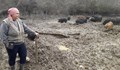 Да отглеждаш ''на инат'' стадо източнобалкански свине