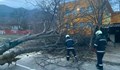 Бурен вятър остави без ток Враца, Мездра и Мизия