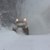 Обилен сняг на пътя Батак - Доспат