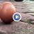 Мит или реалност: Яйце балансира на тясната си страна "с помощта на затъмнението"