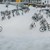 Децата във Финландия карат велосипеди до училище при -17 °C
