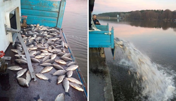 Каракудата е дарение от ряховска фирма Каракудата е дарение от ряховска фирма