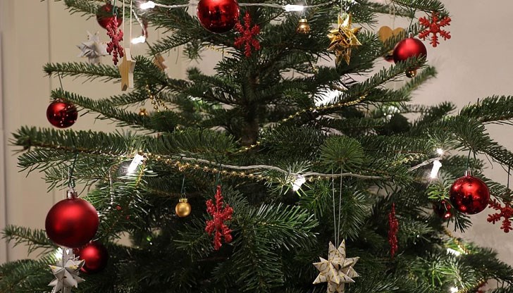 Традицията да се „гизди” зелената горска красавица се е появила не чак толкова отдавна