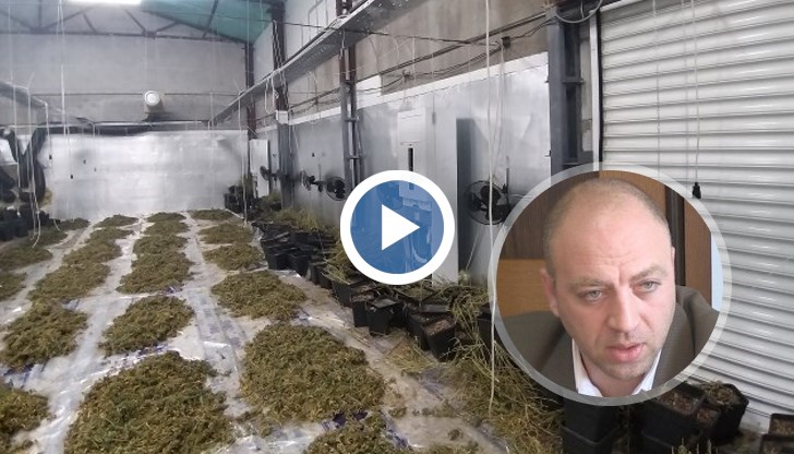 Никой в селото не подозирал за производството на наркотици