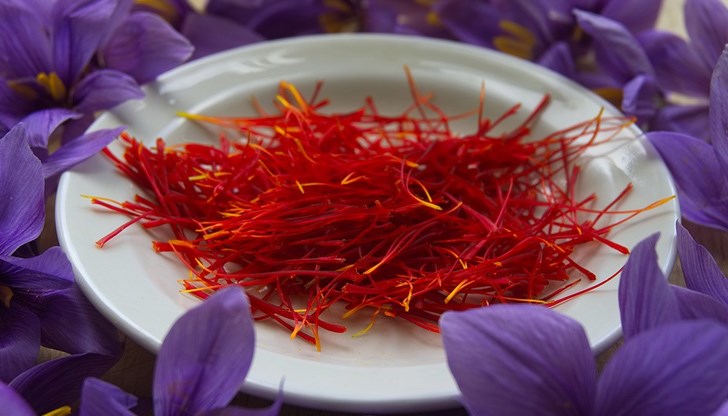 Това лилаво чудо вирее в цялата страна Това лилаво чудо вирее в цялата страна