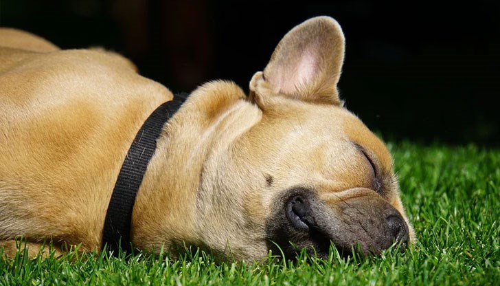 В 90% от случаите - условни присъди, глоба или пробация за насилниците