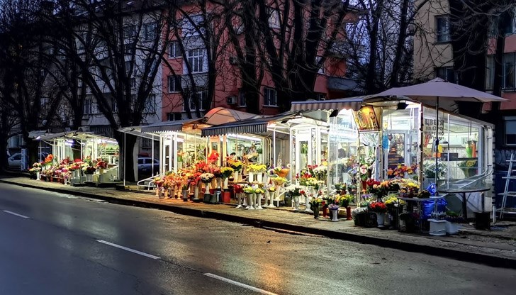 Крадците отмъкнали три саксии с рози Крадците отмъкнали три саксии с рози