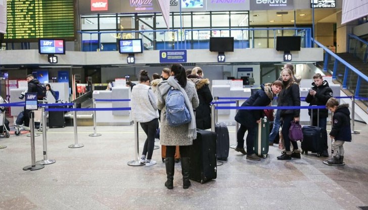 Можем да ви гарантираме, че елха като тази, която ще ви представим днес, не сте виждали никъде другаде