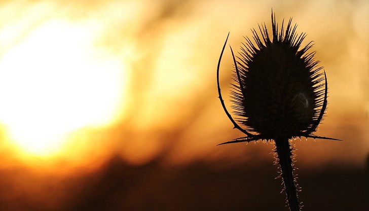 Температурите ще бъдат значително по-високи от обичайните за сезона Температурите ще бъдат значително по-високи от обичайните за сезона