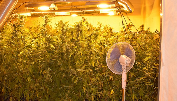 Бащата си признал също, че има незаконен пистолет "Макаров" Бащата си признал също, че има незаконен пистолет "Макаров"