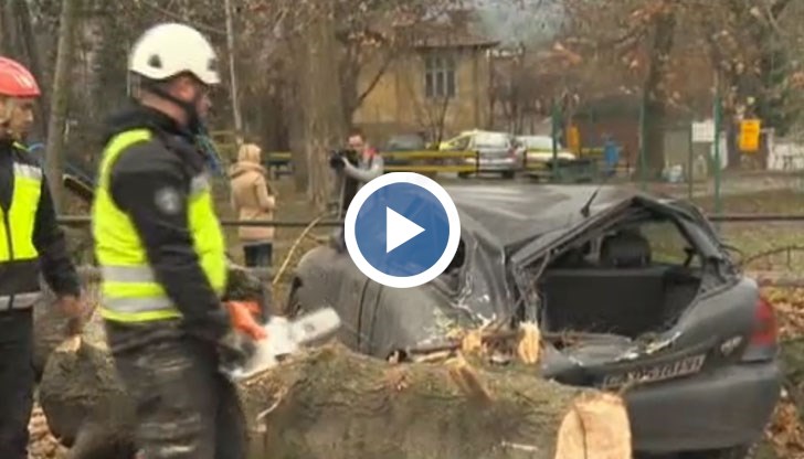 Мощният вятър скъса електропроводи, събори покриви, прекърши дървета