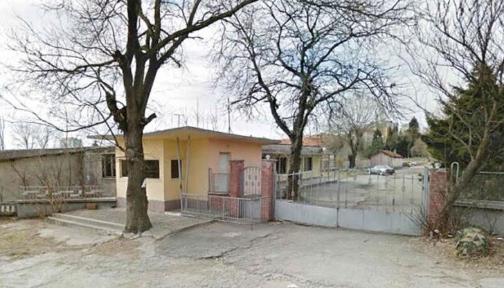 Грозят градовете, плашат и убиват хора, точат систематично по 15 млн. лв. годишно