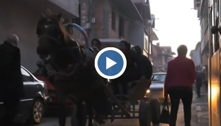 На пръв прочит две взаимоизключващи се думи