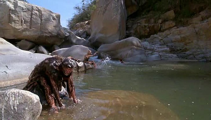 Спящ народ или загива, или се събужда роб