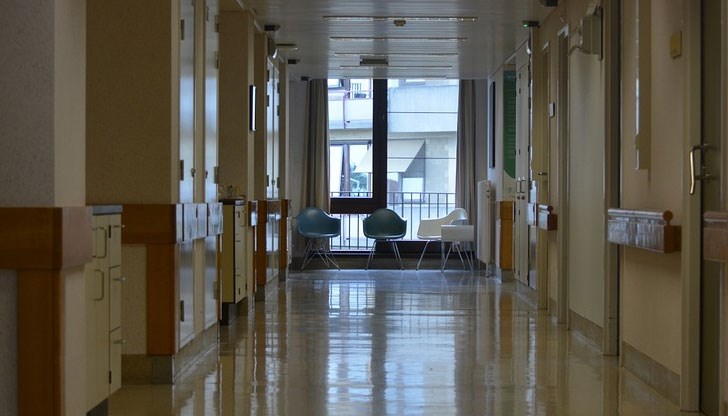 Здравното министерство иска дискусия за кръстосаното донорство и присаждането на матка