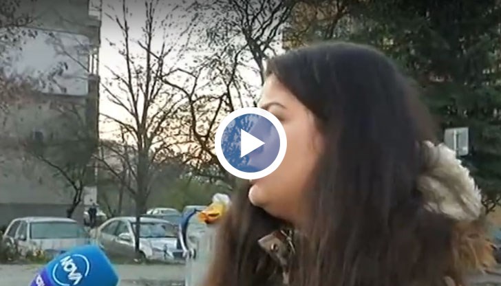 Портмонето на жената с пари и документи е откраднат от колата й във Варна