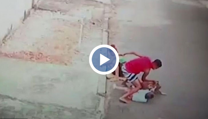 На видеото ясно се вижда как питбулът хапе малчугана по ръцете и краката, посяга да го захапе за главата и го влачи по земята